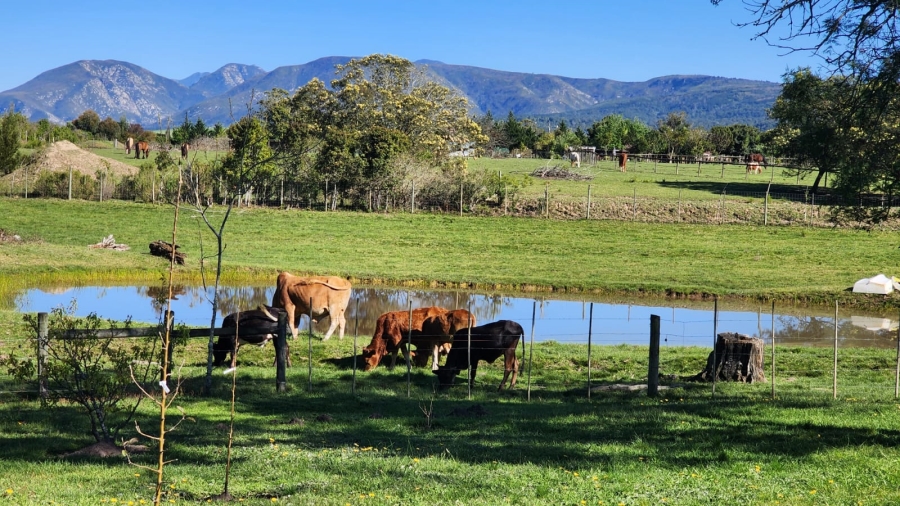Commercial Property for Sale in Wilderness Rural Western Cape